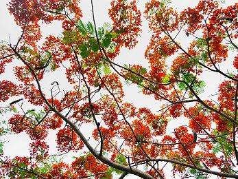 《狙击精英》CEO：有些人不是做游戏而是为了取悦股东